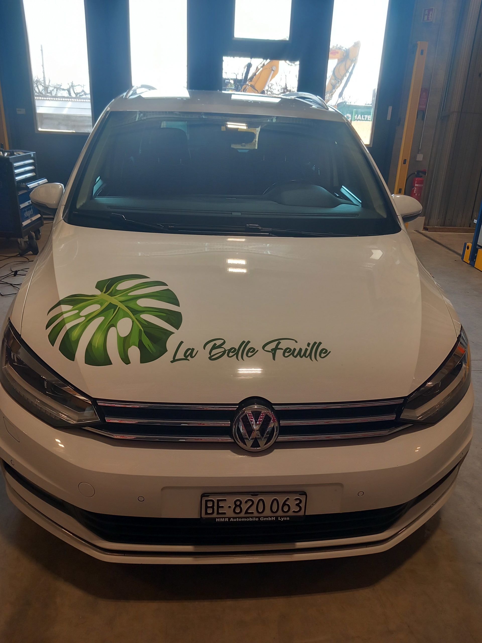 La belle feuille 2025 4/4